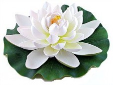 Цветок «Лотос плавающий» 14 см